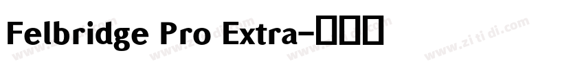 Felbridge Pro Extra字体转换 Felbridge Pro Extra字体转换